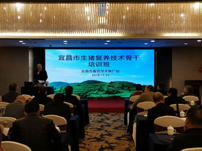 科技赋能，精准施策——市畜牧技术推广站举办专题培训班，全力助推生猪复产保供给